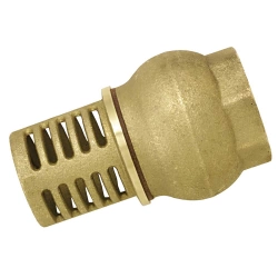 Crépine laiton femelle 40x49 de filtration
