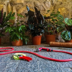 Tuyau extensible yoyo sous pression 30 m