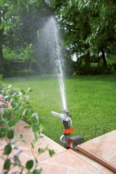 Vignette n°5