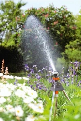 Arroseur Canon sur trépied Premium