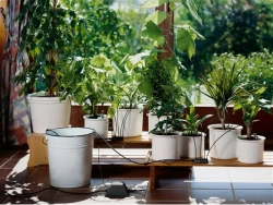 Arrosoir automatique de vacances pour plantes en pots
