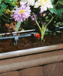 Arrosoir automatique de vacances pour plantes en pots