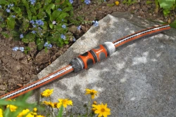 Vignette n°2