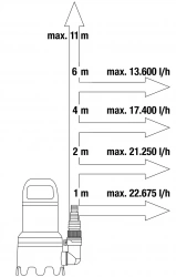 Vignette n°5