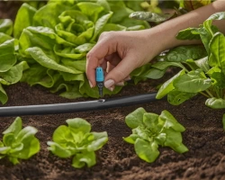 Asperseurs pour l'irrigation de petites surfaces - Boîte de 15 pièces