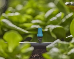 Asperseurs pour l'irrigation de petites surfaces - Boîte de 15 pièces