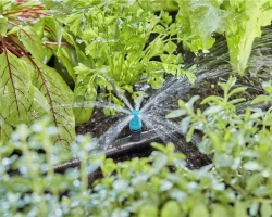 Asperseurs pour l'irrigation de petites surfaces - Boîte de 15 pièces