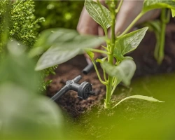 Goutteurs en ligne régulateur de pression 2 l/h - Boîte de 10 pièces