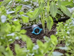 Goutteurs en ligne réglable et régulateur de pression 1 - 8 l/h - Boîte de 5 pièces