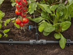 Goutteurs en ligne réglable et régulateur de pression 1 - 8 l/h - Boîte de 5 pièces