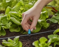 Asperseurs en ligne pour l'irrigation flexible de petites surfaces - Boîte de 10 pièces