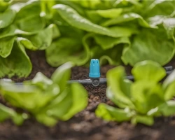 Asperseurs en ligne pour l'irrigation flexible de petites surfaces - Boîte de 10 pièces