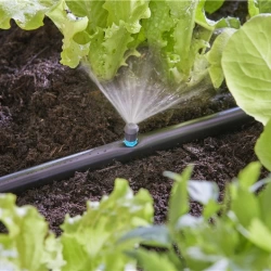 Micro-asperseurs 90° Micro-Drip-System - Boîte de 5 pièces