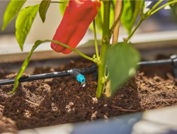 Kit d'initiation goutte-à-goutte pour terrasse jusqu'à 30 plantes Micro-Drip-System