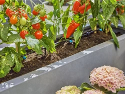 Kit d'initiation goutte-à-goutte pour terrasse jusqu'à 30 plantes Micro-Drip-System