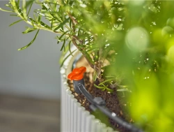 Kit d'initiation goutte-à-goutte pour balcon - jusqu'à 15 plantes