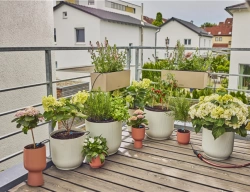 Kit d'initiation goutte-à-goutte pour balcon - jusqu'à 15 plantes Micro-Drip-System