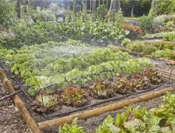 Kit d'initiation goutte-à-goutte pour potagers, plates-bandes et bordures de fleurs - 60 m²