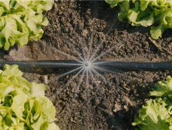 Kit d'initiation goutte-à-goutte pour potagers, plates-bandes et bordures de fleurs - 60 m²