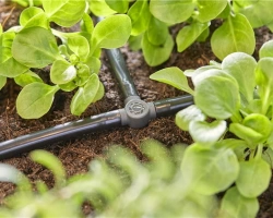 Dérivations en T pour tuyau à goutteurs incorporés 4,6 mm - Boîte de 5 pièces