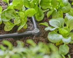 Jonctions en L pour tuyaux à goutteurs incorporés 4,6 mm - Boîte de 5 pièces