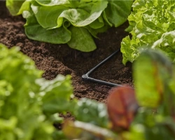 Jonctions en L pour tuyaux à goutteurs incorporés 4,6 mm - Boîte de 5 pièces