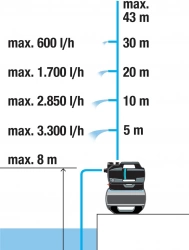 Vignette n°7
