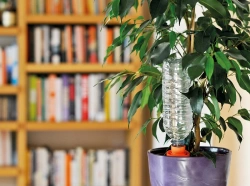 Cône Aquasolo pack x1 jaune pour les plantes en pot à la maison