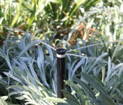 Buse MPR+ FB-100 - Bubbler Détrempeur avec filtre - Débit préréglé 210 l/h